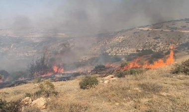 Nizip'te orman yangını....