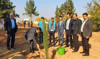 11 Kasım Milli Ağaçlandırma Günü Etkinlikleri