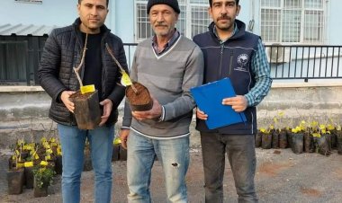 Çiftçilere aşılı antepfıstığı fidanı dağıtımı yapıldı 