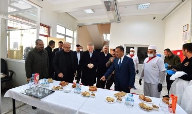 Vali Gül, Nizip'te temaslarda bulundu