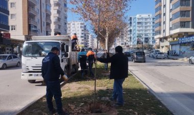 Belediye ekipleri yoğun çalışıyor