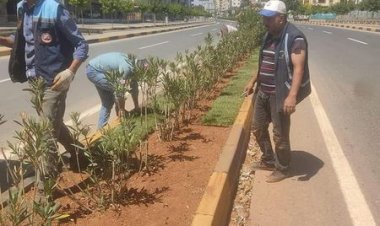 Nizip Belediyesi Park ve Bahçeler Müdürlüğüne bağlı ekipler, yeşil alanlarda bakım ve onarım çalışması gerçekleştiriyor.