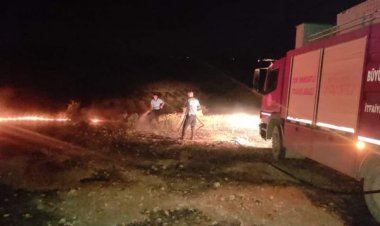 Nizip’te kurumuş ot yangını