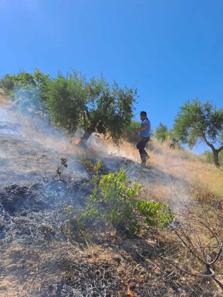 Nizip'te arazi yangını