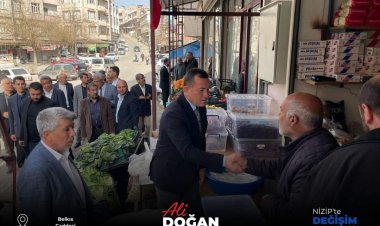 CHP'li Doğan kapı kapı geziyor