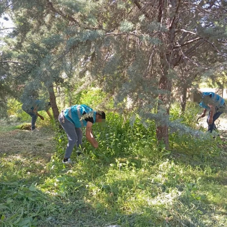 Nizip'te yükümlüler mezarları temizledi