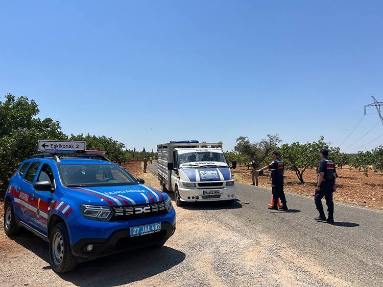 Jandarma Ekiplerinden Antep Fıstığına Nöbet: Hırsızlara Geçit Yok!