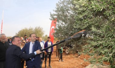 Zeytinin Başkenti Nizip’te 2. Zeytin Festivali Coşkusu