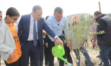 11 Kasım Milli Ağaçlandırma Günü’nde Nizip’te “Geleceğe Nefes” Olundu