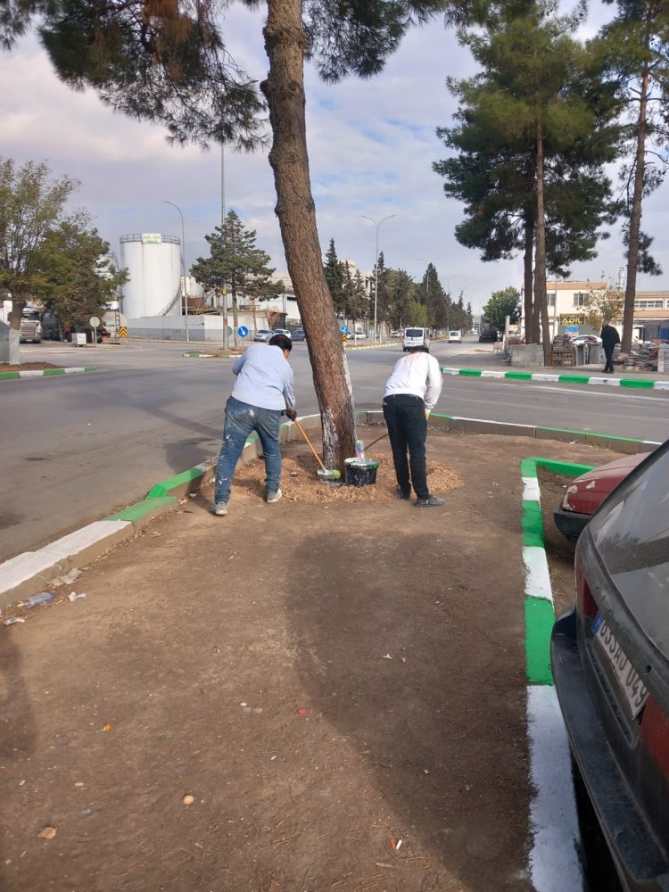 Nizip Sanayi Sitesi’nde Yeşil-Beyaz Dönüşüm: Kaldırım Refüjleri Yenileniyor