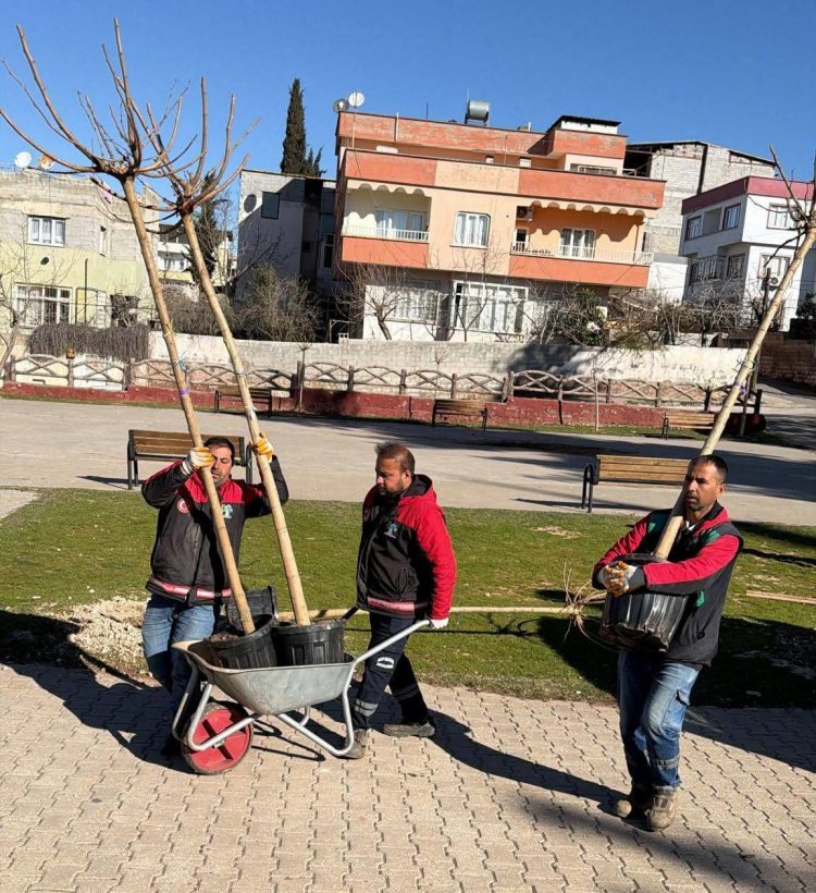 Nizip'te ekipler daha yeşil bir ilçe için sahada