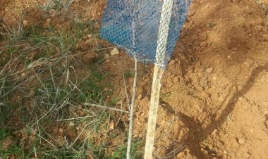 İlçe Tarım Müdürü Yorgancı, Uyardı