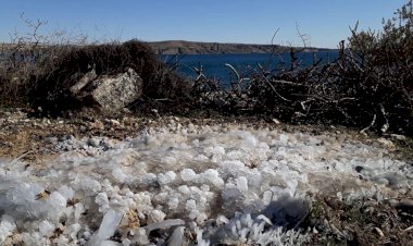 NİZİP’TE  DON HAYATI OLUMSUZ ETKİLEDİ 