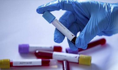 Nizip Kaymakamlığından Koronavirüs Açıklaması