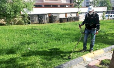 Park ve Bahçelerdeki çimler biçiliyor