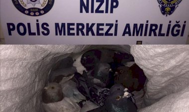 Bekçiler Hırsızlık Şüphelilerini Affetmedi