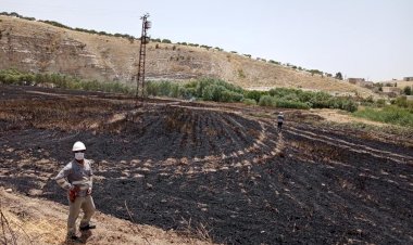 Nizip'te Buğday Tarlası Yandı