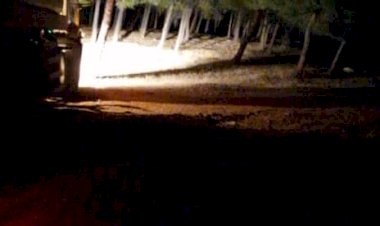 Nizip ilçesinde orman yangını çıktı.