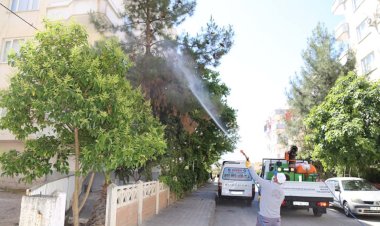 Nizip Belediyesi haşere ve sineklere karşı ilaçlama çalışması yapıyor