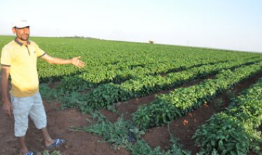 Çiftçinin "Elim Ayağım" Dediği Makinesini Çaldılar