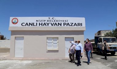 Başkan Sarı, Hayvan Pazarında incelemelerde bulundu