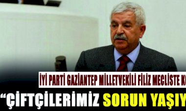 İYİ Parti Gaziantep Millet Vekili Filiz Mecliste Konuştu