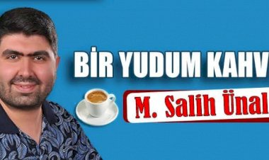 Sonbahar ve Yazar