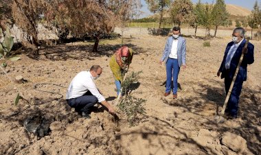 Öğrenciler okullarıyla fidanlar ise toprakla buluştu 