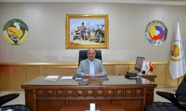 NİZİP’TE ZEYTİN HASADI BAŞLADI