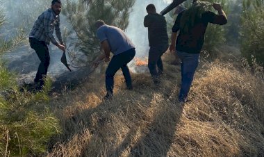 Nizip'te orman yangını