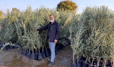 Nizip’te Fidan Satışları Başladı 