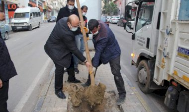 Başkan Sarı ağaçlandırma çalışmasına katıldı