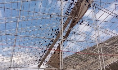 Birecik’te 241 kelaynak doğaya salındı