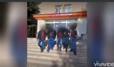 Hırsızlık şüphelisi tutuklandı