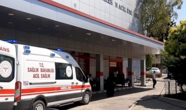 Nizip'te İnek hastanelik etti!