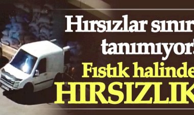 Nizip'te Motosiklet Çalındı