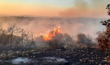 Nizip'te orman yangını