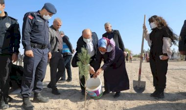 15 Temmuz Şehidi Çakır için hatıra ormanı oluşturuldu