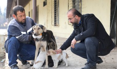 Çatıda mahsur kalan anne ve yavru köpekleri Belediye ekipleri kurtardı