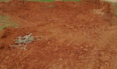 Hırsızlar bu defa pes dedirtti