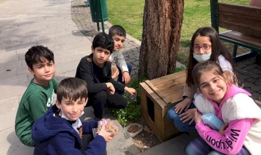 Minik öğrenciler kuşlar ve sokak hayvanları için yem ile mama dağıttı