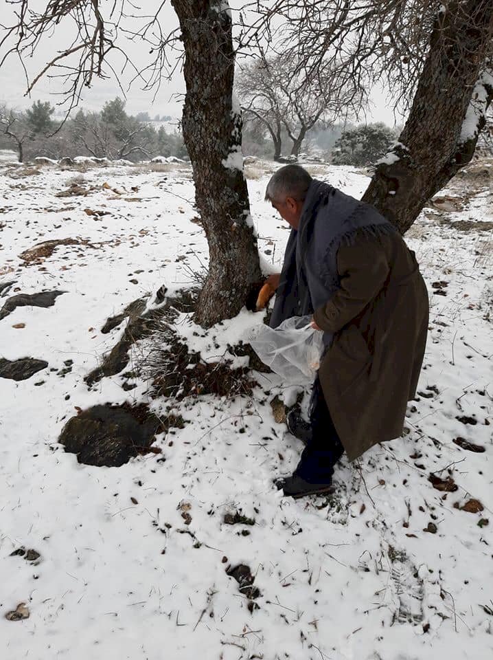 Doğadaki Canlılar Unutulmadı