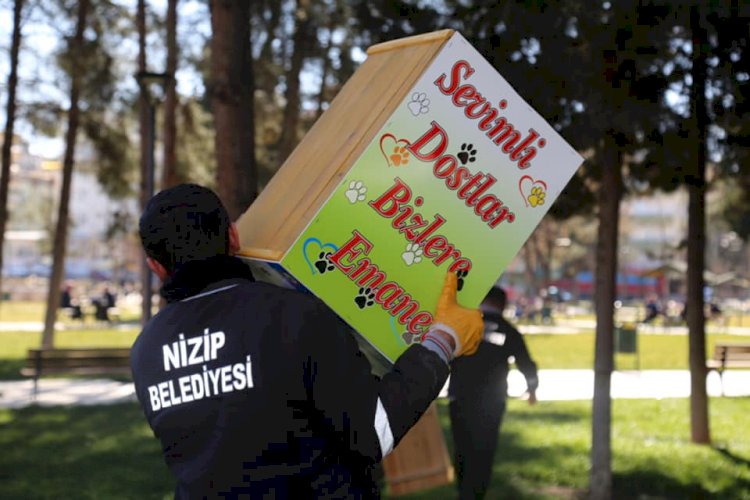 Nizip Belediyesi seçim sandıklarından kedi evi yaptı