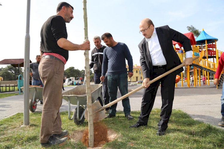 Belediye Başkanı Sarı Ağaç dikti