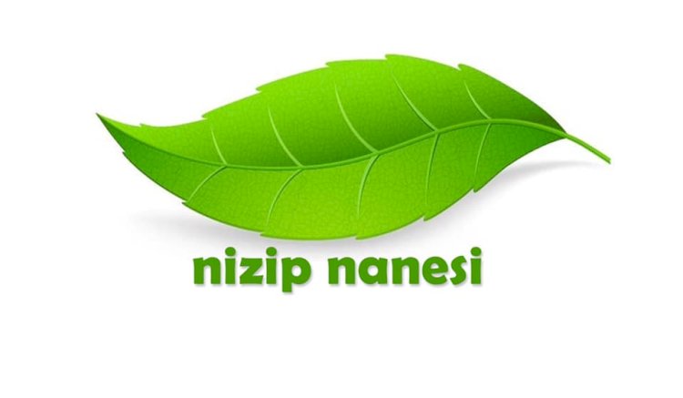 BAŞKAN İBRAHİM SARI, NİZİP NANESİ’NİN TESCİLLENDİĞİNİ AÇIKLADI