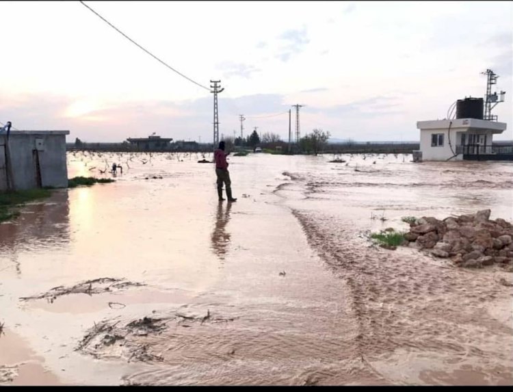 Nizip ve Karkamış’ta sel tarımı etkiledi