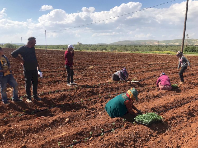 Nizip'te vatandaşlar sokağa çıkma yasağına uydu