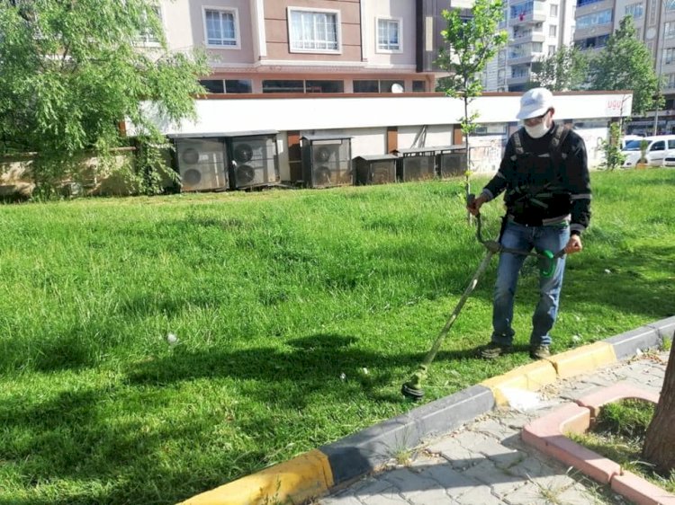 Park ve Bahçelerdeki çimler biçiliyor