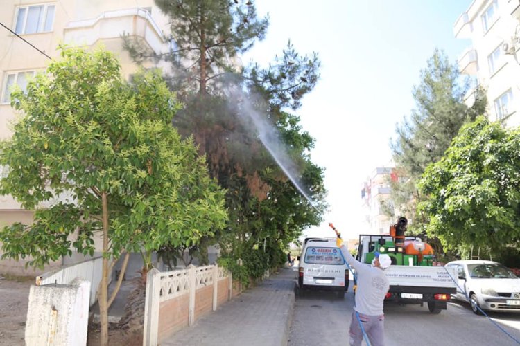 Nizip Belediyesi haşere ve sineklere karşı ilaçlama çalışması yapıyor