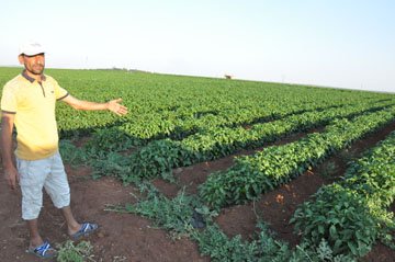 Çiftçinin "Elim Ayağım" Dediği Makinesini Çaldılar